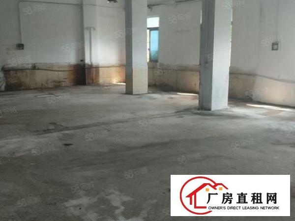  石排标准一楼850方出租，租20元，水电齐全，光线充足