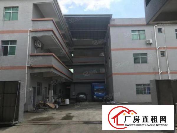  石排新出一楼独门独院推荐证件齐全离高速路口500米