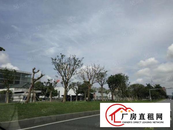  石排镇原房东标准小独院2100平方
