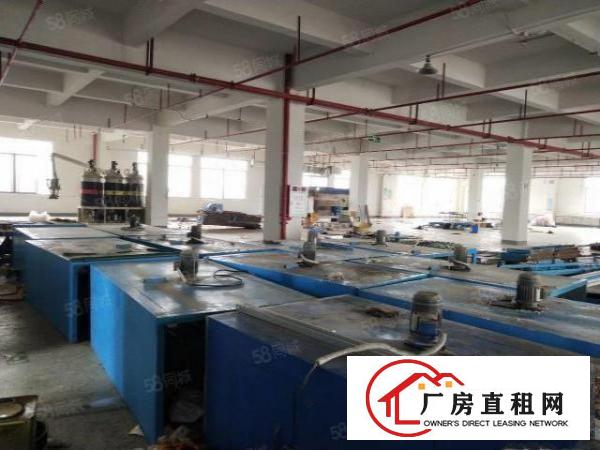  石排镇原房东标准小独院2100平方
