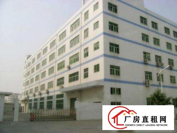  石排厂房出租独院厂房分租今日更新