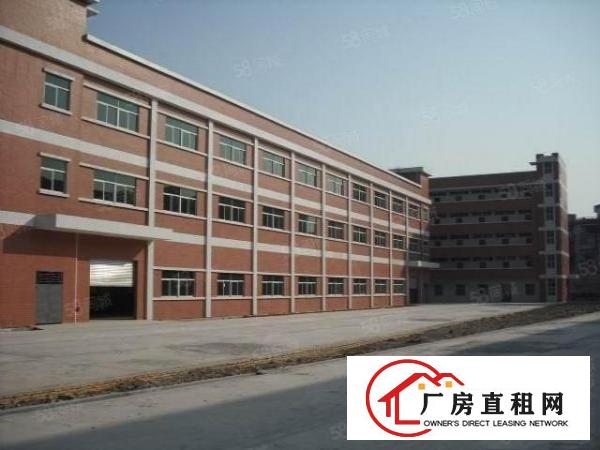  石排厂房出租独院厂房分租今日更新