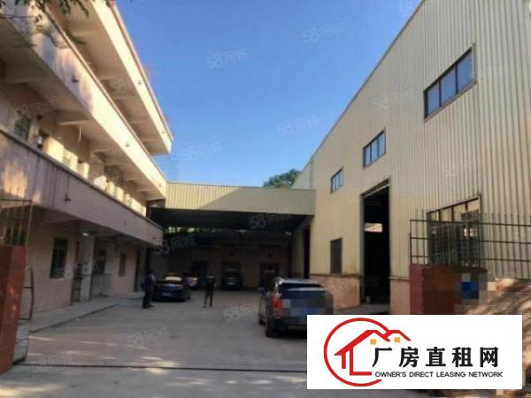  石排厂房出租独院厂房分租今日更新