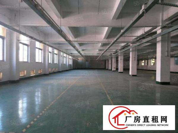  石排厂房出租独院厂房分租今日更新