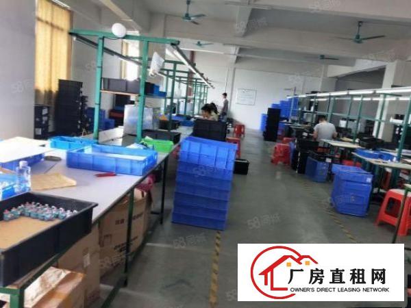  石排标准厂房1450方出租，租13元，水电齐全，厂房主体