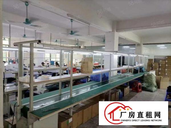  石排标准厂房1450方出租，租13元，水电齐全，厂房主体