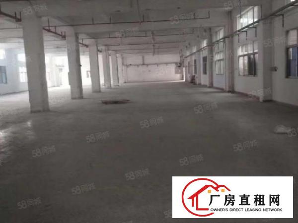  石排田边独院标准厂房4800方出租，现成水电，精装办公室！！