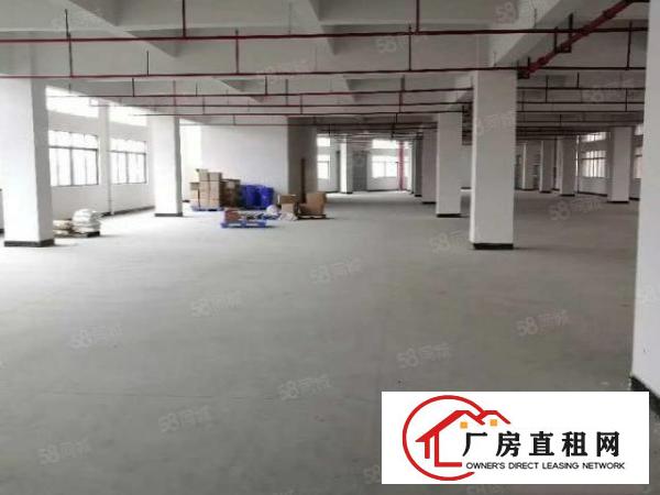  石排田边独院标准厂房4800方出租，现成水电，精装办公室！！