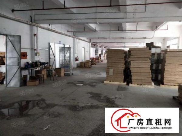  石排田边独院标准厂房4800方出租，现成水电，精装办公室！！