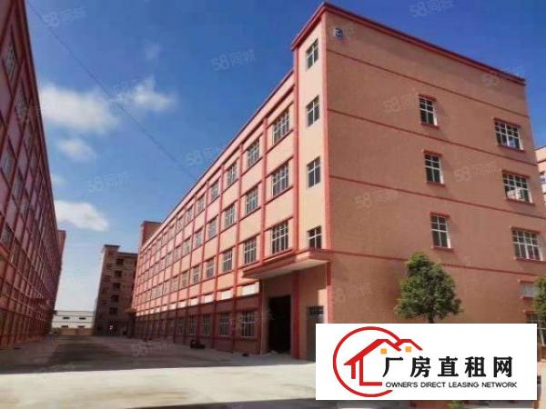  石排镇中心红本带航车厂房出租两栋