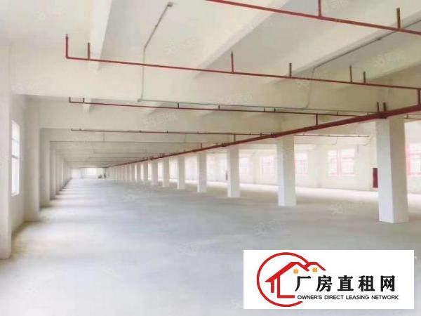  石排镇中心红本带航车厂房出租两栋