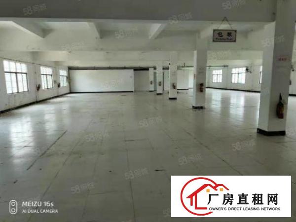  石排镇中心红本带航车厂房出租两栋