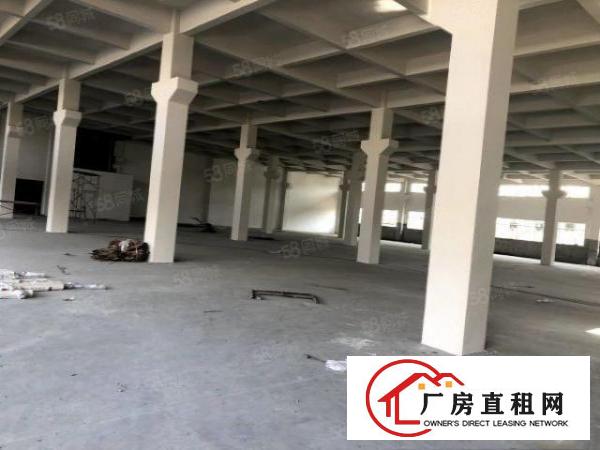  石排镇中心红本带航车厂房出租两栋