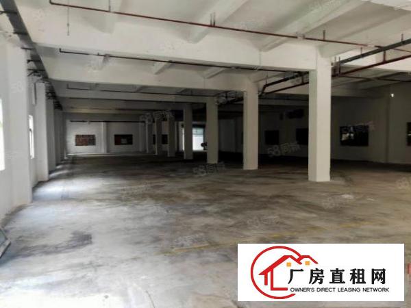  石排庙边王标准厂房620方出租，租15元，水电齐全