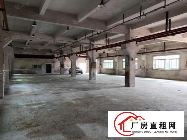  石排庙边王标准厂房4600方，租13元，水电齐全，交通方便