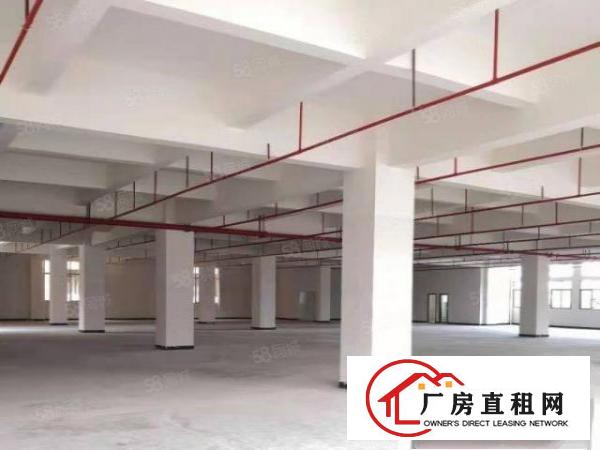  石排科技园楼上660方标准厂房租15元，水电齐全，有办公室