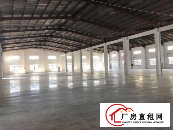  形象好全新厂房石排镇新出单砖墙到顶厂房700平方出租