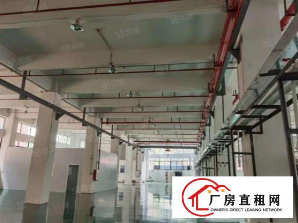  石排一楼1200平方，9成新装修，高度6.5米，现成水电行车