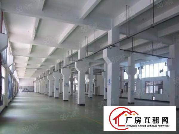  石排原房东独门独院厂房3600平方出租带牛角位