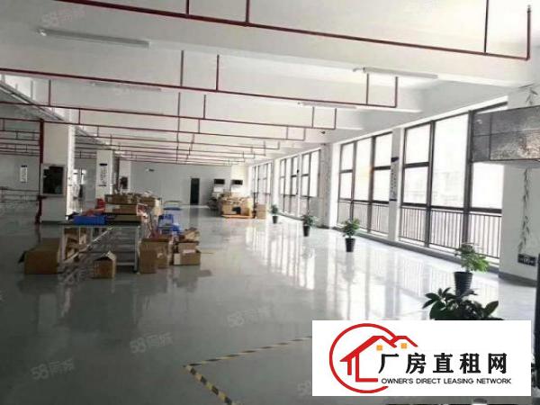  带红本带喷淋消防石排镇新出标准厂房1200平出租