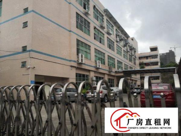  带红本带喷淋消防石排镇新出标准厂房1200平出租