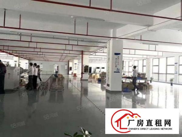  带红本带喷淋消防石排镇新出标准厂房1200平出租