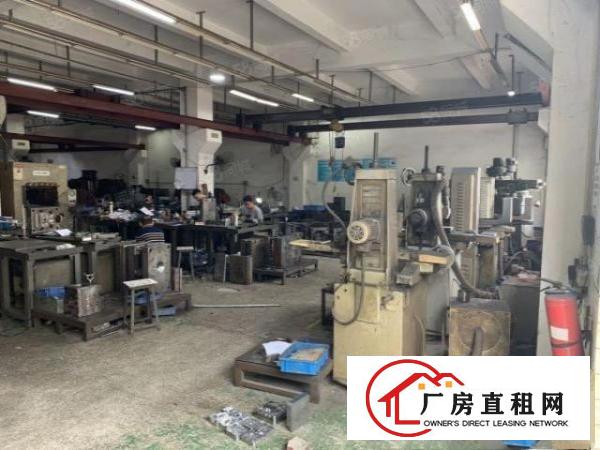  石排工业园标准一楼920方出租，租20元，水电齐全，消防喷淋