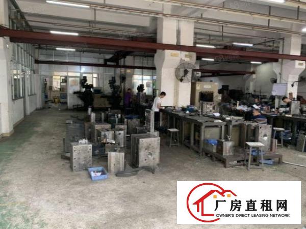  石排工业园标准一楼920方出租，租20元，水电齐全，消防喷淋