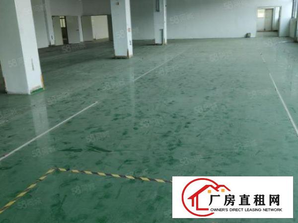  证件齐全带地坪漆石排新出标准厂房400平方出租形象好