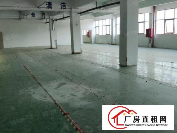  证件齐全带地坪漆石排新出标准厂房400平方出租形象好