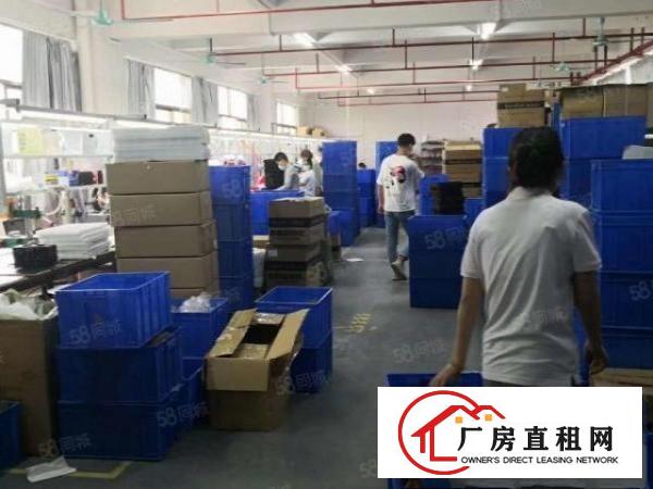  石排标准厂房6000方出租，租17元，水电齐全，设有停车位