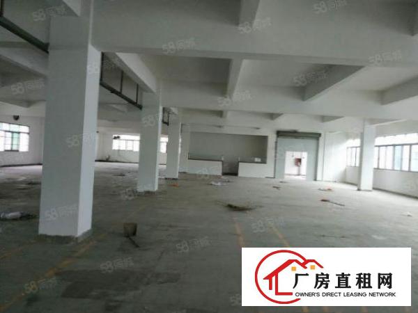  石排大道旁原房东独门独院厂房，2楼整层分租