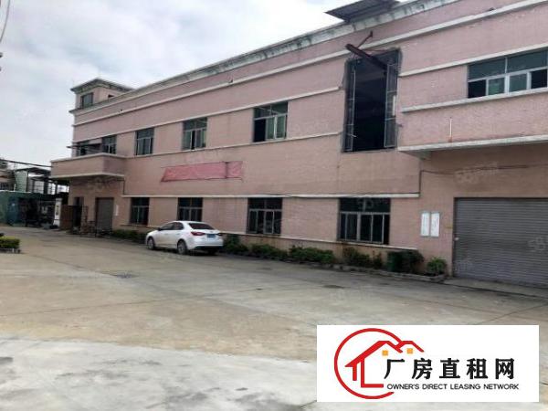  石排大道旁原房东独门独院厂房，2楼整层分租
