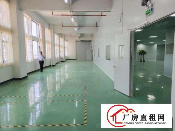  东莞石排镇沙角工业区出租原房东标准厂房8000平方带精装修
