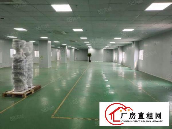  东莞石排镇沙角工业区出租原房东标准厂房8000平方带精装修