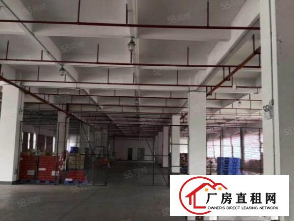  东莞石排镇沙角工业区出租原房东标准厂房8000平方带精装修