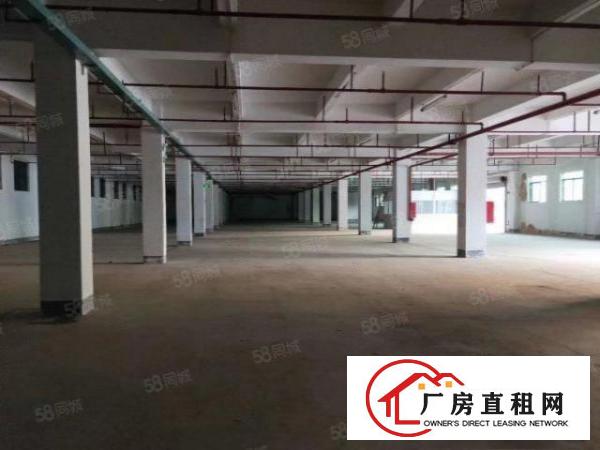  拎包入住，带喷淋消防石排镇新出独院标准厂房1000平米招租