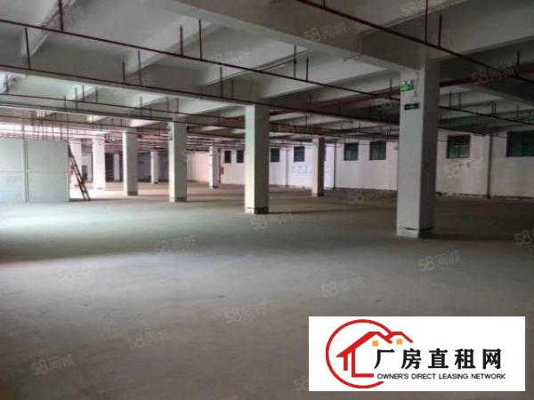  拎包入住，带喷淋消防石排镇新出独院标准厂房1000平米招租