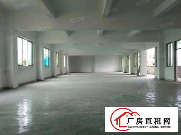  石排独门独院标准厂房2500方证件齐全带设备配宿舍办公楼