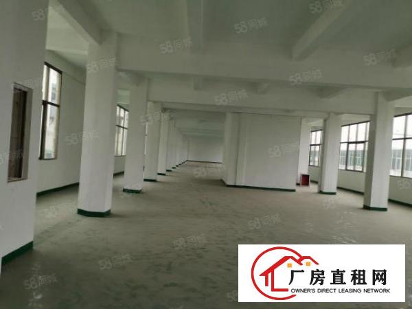  现房靓盘形象好石排镇原房东标准厂房面积200平方出租