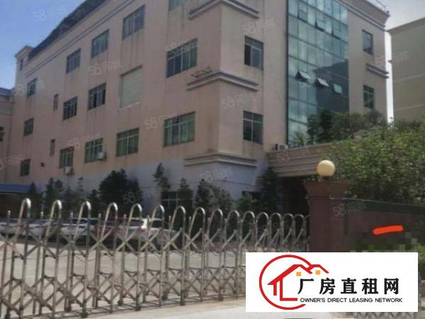  石排水贝工业区标准一楼750平方招租，水电齐全，有办公室装修