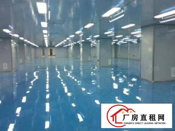  石排现十万级无尘车间标准面积8200，报价14，现房，可谈