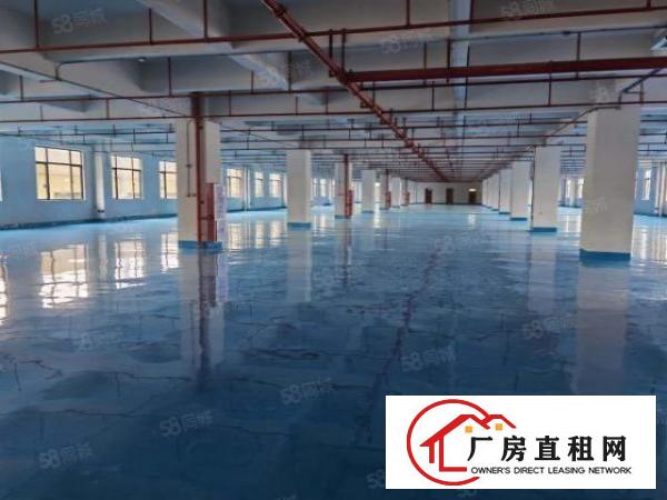  石排现十万级无尘车间标准面积8200，报价14，现房，可谈