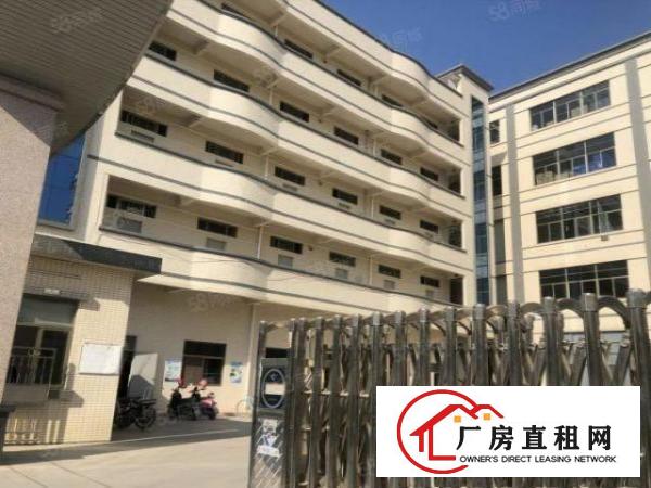 石排新出厂房.空地面积大.带环评.厂房新做地坪漆.精装办公室