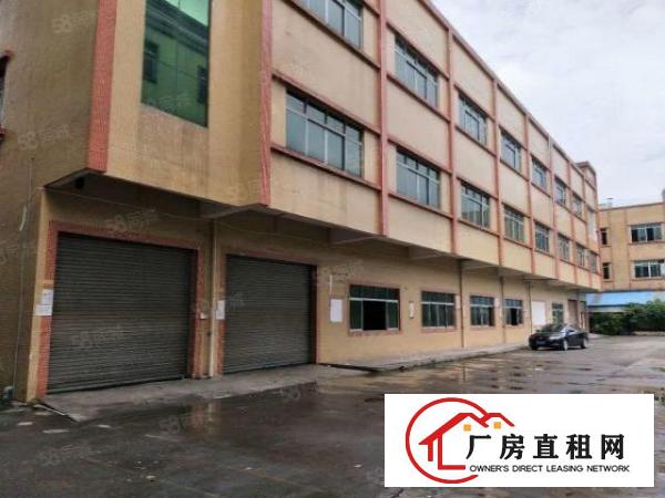  石排标准厂房3300方现房出租，租17元，水电齐全，消防喷淋
