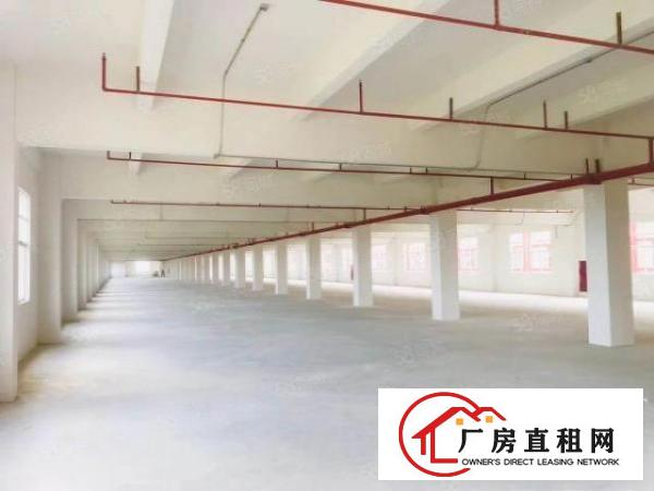  石排标准厂房3300方现房出租，租17元，水电齐全，消防喷淋