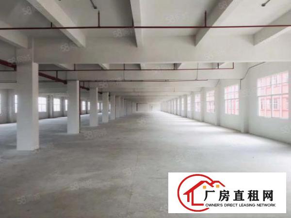  石排标准厂房3300方现房出租，租17元，水电齐全，消防喷淋