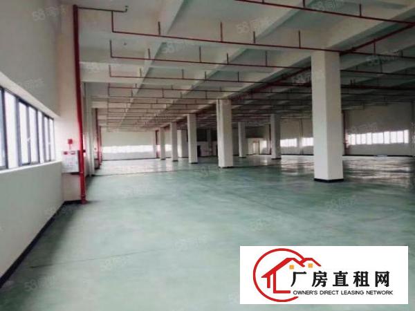  石排标准厂房3300方现房出租，租17元，水电齐全，消防喷淋