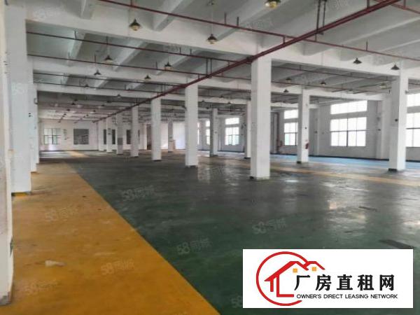  石排标准厂房3300方现房出租，租17元，水电齐全，消防喷淋