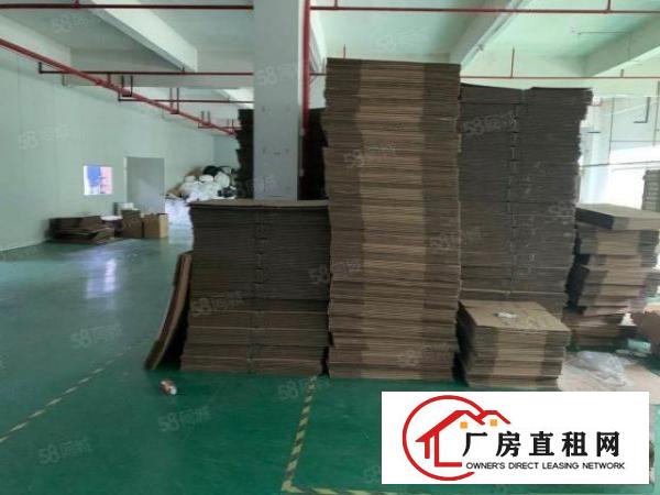  石排标准厂房3300方现房出租，租17元，水电齐全，消防喷淋